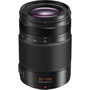 Panasonic LEICA DG VARIO-ELMARIT 35-100mm F2.8 Power OIS