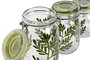 DKD Home Decor Set de 4 Botes de Cristal y Hierro Botánico Verde