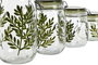 DKD Home Decor Set de 4 Botes de Cristal y Hierro Botánico Verde