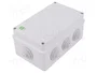 ELEKTRO-PLAST NASIELSK Caja de conexiones IP55 gris
