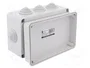 ELEKTRO-PLAST NASIELSK Caja de conexiones IP55 gris