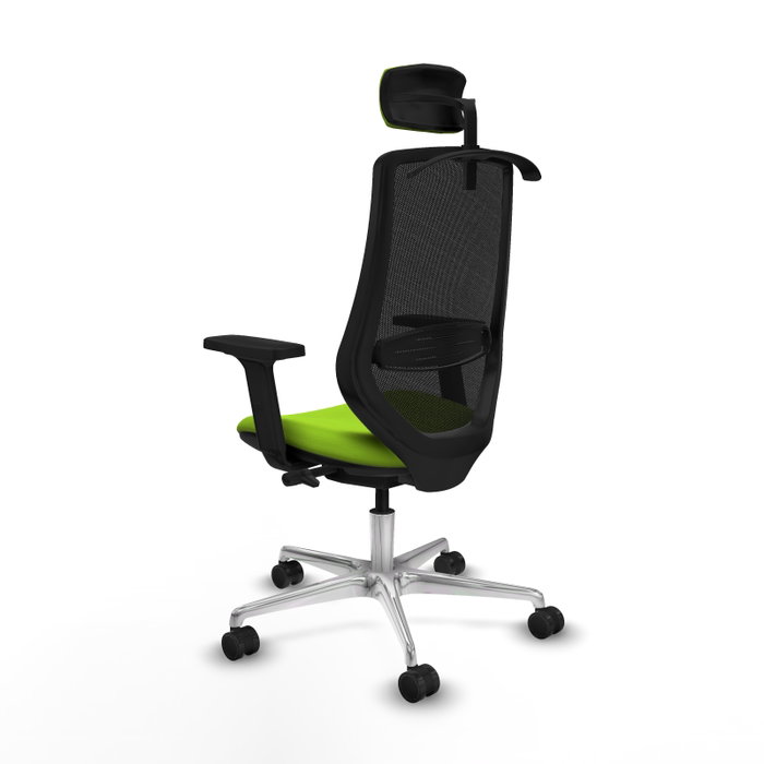 PIQUERAS Y CRESPO Silla de oficina Mardos con mecanismo Sincro/Traslack, Pistacho y Negro PIQUERAS Y CRESPO Silla de oficina Mardos con mecanismo Sincro/Traslack, Pistacho y Negro