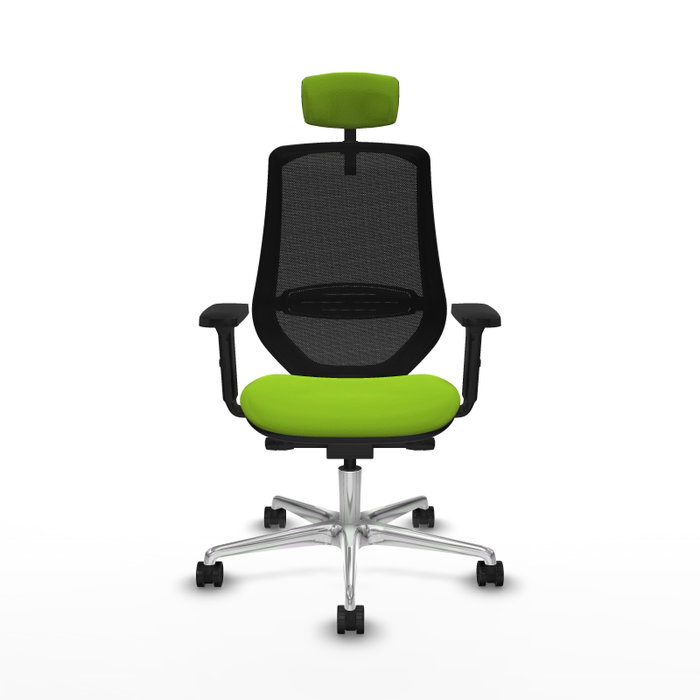 PIQUERAS Y CRESPO Silla de oficina Mardos con mecanismo Sincro/Traslack, Pistacho y Negro PIQUERAS Y CRESPO Silla de oficina Mardos con mecanismo Sincro/Traslack, Pistacho y Negro
