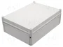 ELEKTRO-PLAST NASIELSK Carcasa Universal Industrial Gris