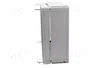 ELEKTRO-PLAST NASIELSK Carcasa Universal Industrial Gris
