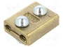 BM GROUP Conector de alimentación recto de borna de tornillo en latón