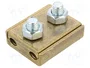 BM GROUP Conector de alimentación recto de borna de tornillo en latón