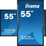 iiyama ProLite T5562AS-B1 Monitor Interactivo 55 pulg 4K UHD Android