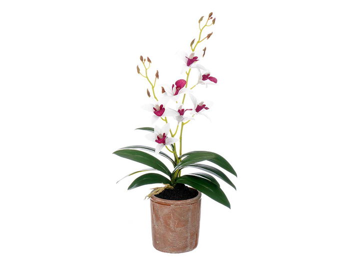 Maceta Ibergarden Terracota Flor Blanca Morada 10 cm x 47 cm x 25 cm (Set de 6)