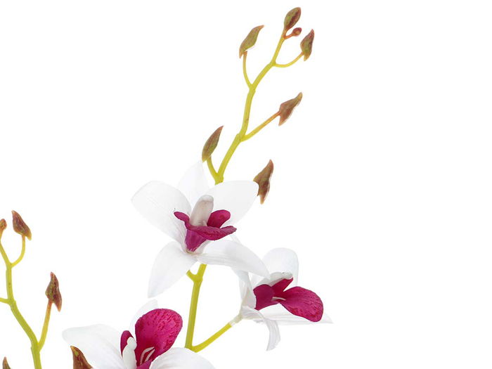 Maceta Ibergarden Terracota Flor Blanca Morada 10 cm x 47 cm x 25 cm (Set de 6)