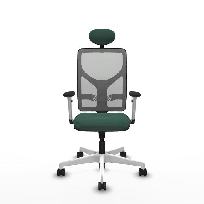 PIQUERAS Y CRESPO Silla de oficina Motilla con mecanismo Sincro, Verde botella y Gris PIQUERAS Y CRESPO Silla de oficina Motilla con mecanismo Sincro, Verde botella y Gris