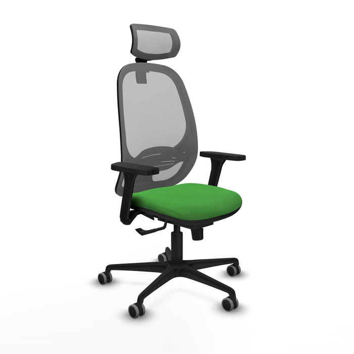 PIQUERAS Y CRESPO Silla de oficina Cilanco con mecanismo Sincro, Verde y Gris PIQUERAS Y CRESPO Silla de oficina Cilanco con mecanismo Sincro, Verde y Gris