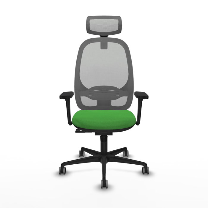 PIQUERAS Y CRESPO Silla de oficina Cilanco con mecanismo Sincro, Verde y Gris PIQUERAS Y CRESPO Silla de oficina Cilanco con mecanismo Sincro, Verde y Gris