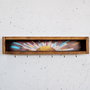 Hanah Home Raf293 Estantería de Pared Madera Maciza Decorativa 40x10x10 cm