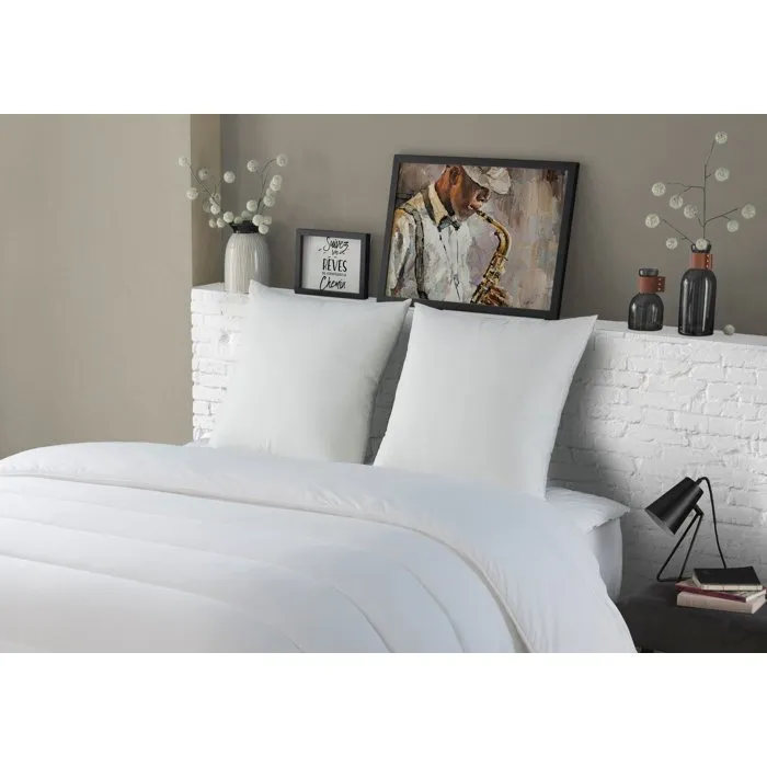 Dodo Juego de 2 Almohadas Medianas 60 x 60 cm Blancas