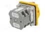 SPAMEL Interruptor de levas principal 32A 3 polos 0-1
