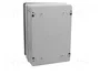 ELEKTRO-PLAST NASIELSK Carcasa de pared INDUSTRIAL SR gris