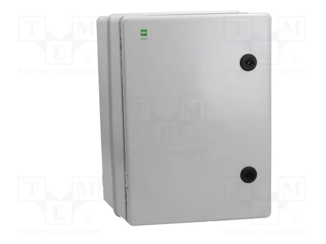 ELEKTRO-PLAST NASIELSK Carcasa de pared INDUSTRIAL SR gris