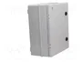 ELEKTRO-PLAST NASIELSK Carcasa de pared INDUSTRIAL SR gris