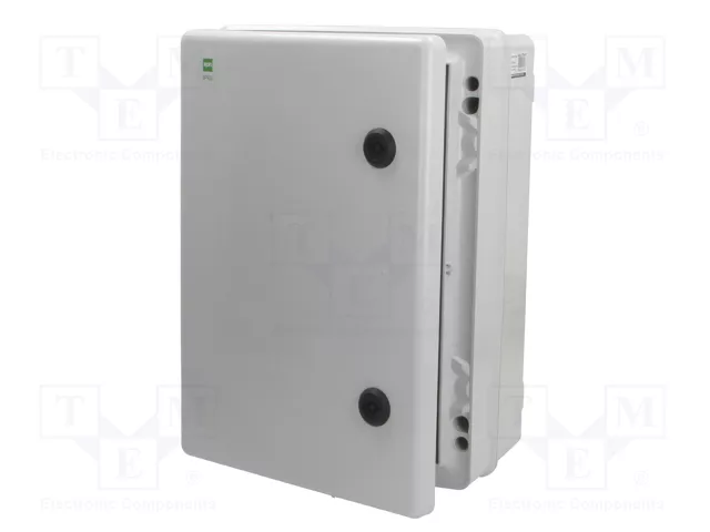 ELEKTRO-PLAST NASIELSK Carcasa de pared INDUSTRIAL SR gris