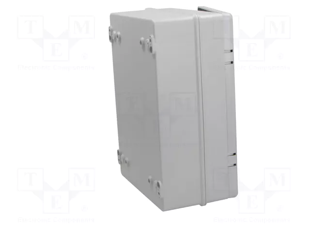 ELEKTRO-PLAST NASIELSK Carcasa de pared INDUSTRIAL SR gris