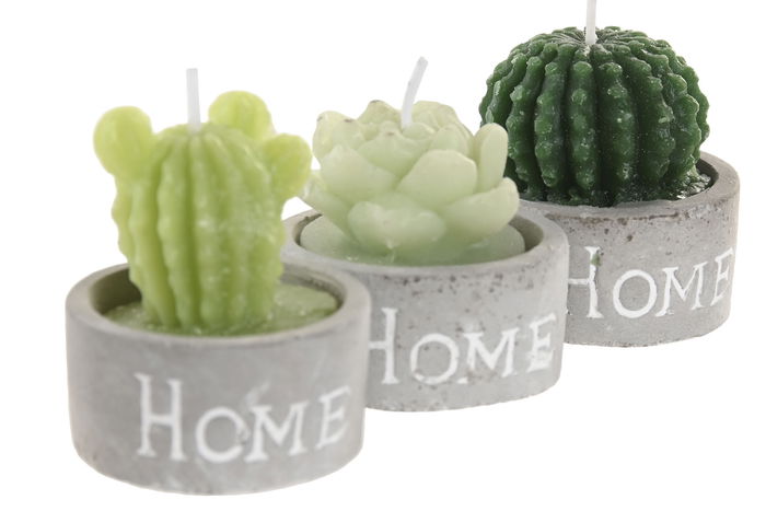 DKD Home Decor Vela Set de 4 Cactus Verde Gris Cera Parafina Cemento 32 gr 12 Unidades 6 x 5 x 20 cm