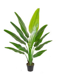 DKD Home Decor Planta Ave del Paraíso Verde PE 80x80x160 cm