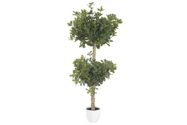 DKD Home Decor Árbol Ficus Verde con Base de Cemento 70x70x140 cm