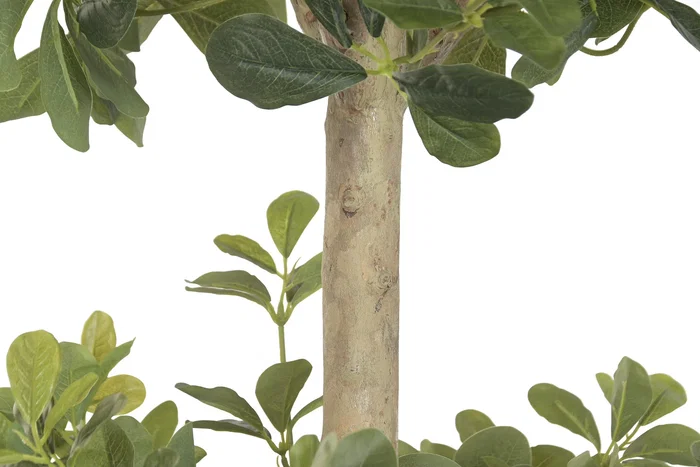 DKD Home Decor Árbol Ficus Verde con Base de Cemento 70x70x140 cm