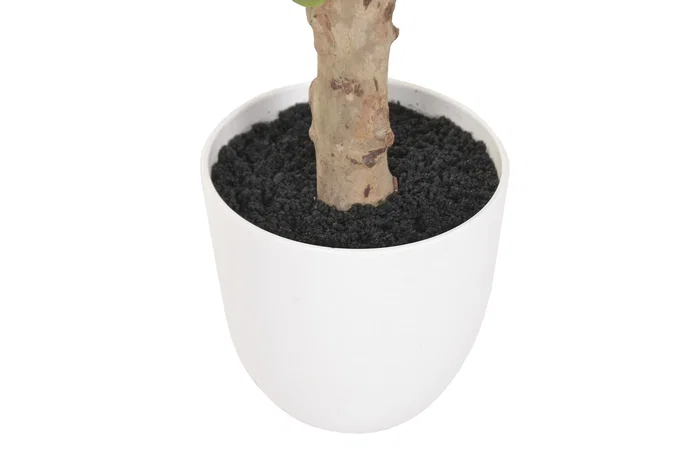 DKD Home Decor Árbol Ficus Verde con Base de Cemento 70x70x140 cm