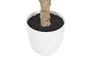 DKD Home Decor Árbol Ficus Verde con Base de Cemento 70x70x140 cm
