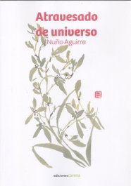 CARENA, Atravesado de universo, Nuño Aguirre - CARENA