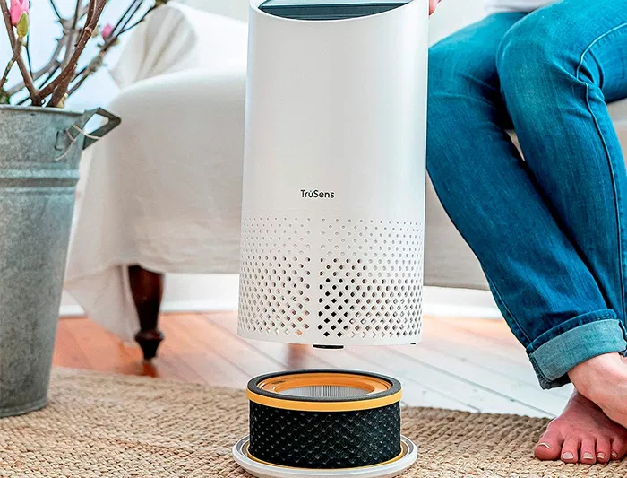 Filtro HEPA Leitz Z-1000 para Purificador de Aire Pequeño, Elimina Olores y Virus, 169x83 mm