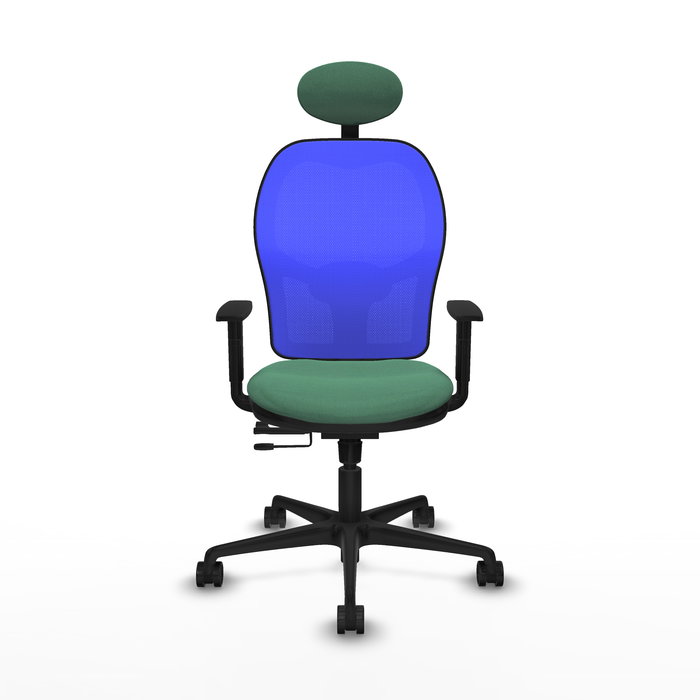 Silla de oficina Jorquera con mecanismo Sincro/Traslack tapizada con Tela color Verde esmeralda y malla color Azul. Equipada con lumbar 1D, Brazos 1D, Cabecero Fijo y Ruedas 65mm nailon Silla de oficina Jorquera con mecanismo Sincro/Traslack tapizada con Tela color Verde esmeralda y malla color Azul. Equipada con lumbar 1D, Brazos 1D, Cabecero Fijo y Ruedas 65mm nailon