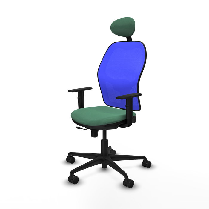 Silla de oficina Jorquera con mecanismo Sincro/Traslack tapizada con Tela color Verde esmeralda y malla color Azul. Equipada con lumbar 1D, Brazos 1D, Cabecero Fijo y Ruedas 65mm nailon Silla de oficina Jorquera con mecanismo Sincro/Traslack tapizada con Tela color Verde esmeralda y malla color Azul. Equipada con lumbar 1D, Brazos 1D, Cabecero Fijo y Ruedas 65mm nailon