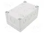 FIBOX Caja de conexiones gris 122x187x90mm