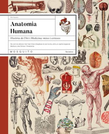 Anatomia humana, Mia Cassany - MOSQUITO