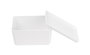 Confortime Caja Ordenadora Multiusos con Tapa 17.5 cm x 13 cm x 8.5 cm (12 Unidades)