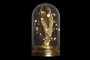 DKD Home Decor Decoración Luminosa LED Cristal 12x12x22 Flor Seca