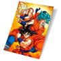 Sd Toys Póster 3D Champa y Goku States Dragon Ball Super 58x38 cm