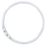 Osram Lámpara Fluorescente Circular T5 FC 55W 865 2GX13