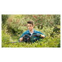 Bosch UniversalHedgeCut 18-50 Podadora de Setos a Batería, 50 cm