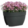 Artevasi 5600442850857 Jardinera CAPRI CAMPANA para Balcón 40 cm Antracita