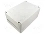 SPELSBERG TK PC Carcasa Universal Gris IP66 180x254x111mm