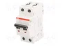 ABB S202-C16 Interruptor magnetotérmico 2 polos 16A 6kA