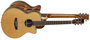 Guitarra Acústica Tanglewood Twjsfce Super Folk
