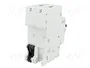 ABB S200 Interruptor magnetotérmico 2 polos 25A 6kA