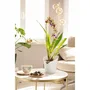 Lechuza Maceta Orchidea All-in-One LEC4008789139603 Blanco mate