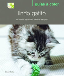 Lindo gatito, David Taylor - KNS EDICIONES