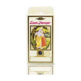 Radhe Shyam Incienso en cono natural Scented Garden 12 unidades